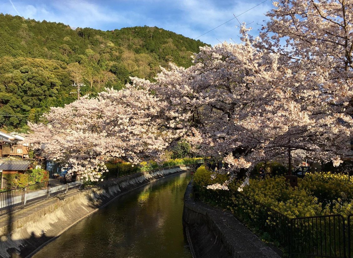 Yamashina Botanical Research Institute, Kyoto, Japan, Japan
